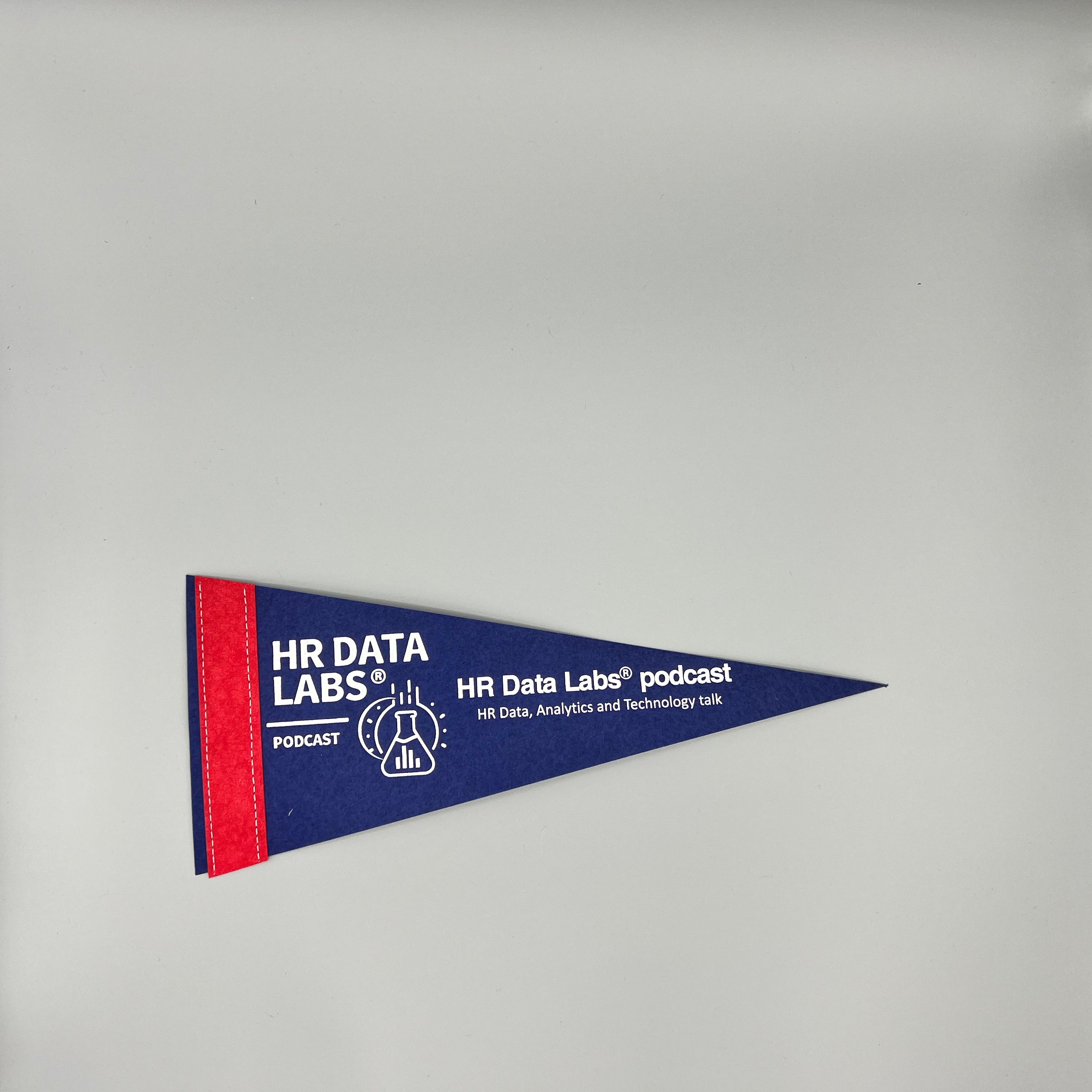 HR Data Labs Pennant